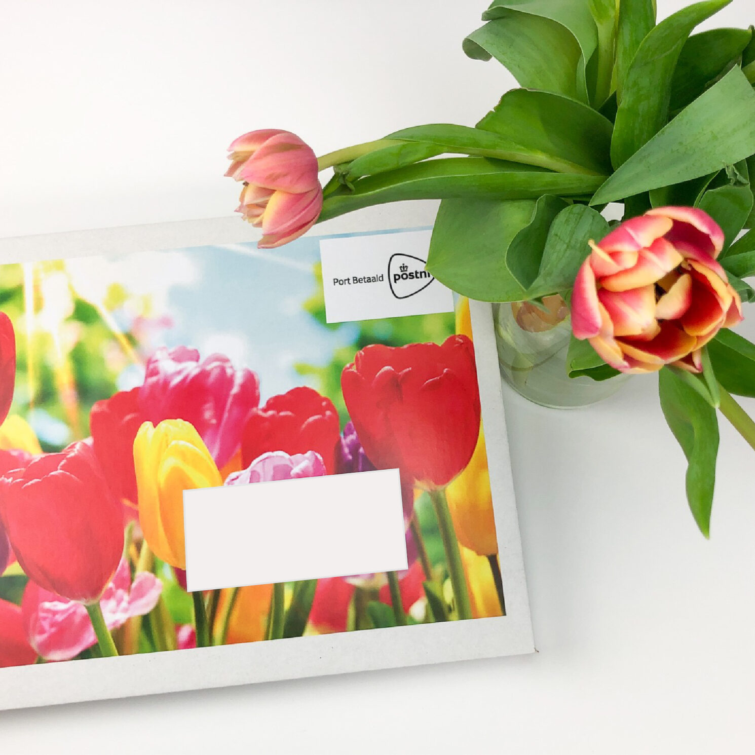 Brievenbusgeschenk tulpen