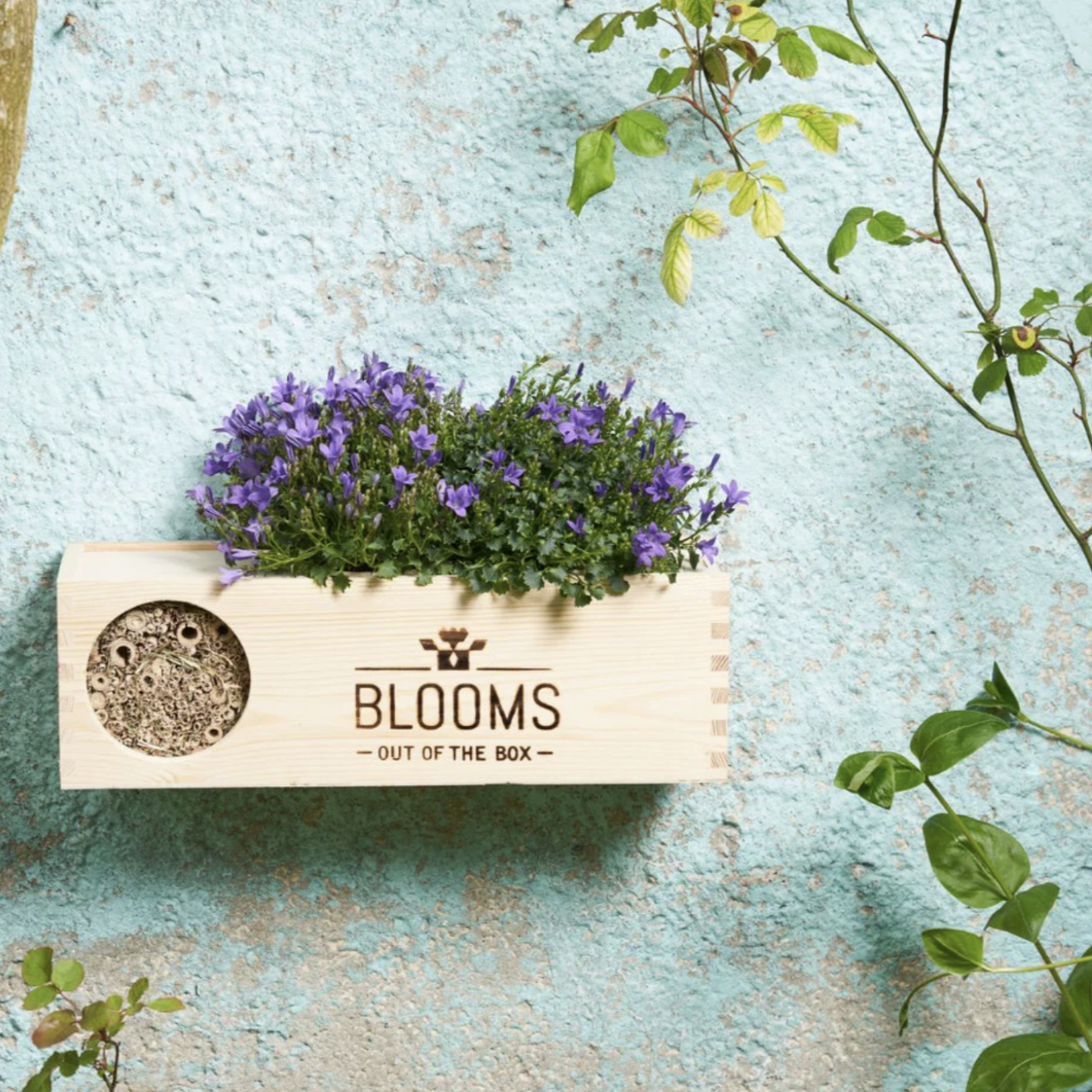 Blooms bees bloomsbox via jadoe geschenkenmakers